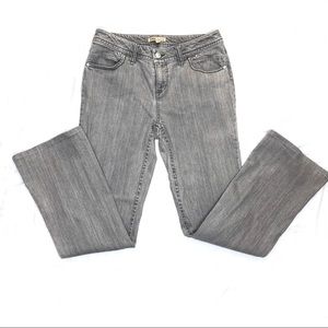 CAbi | Contemporary Fit Gray Bootcut Jeans